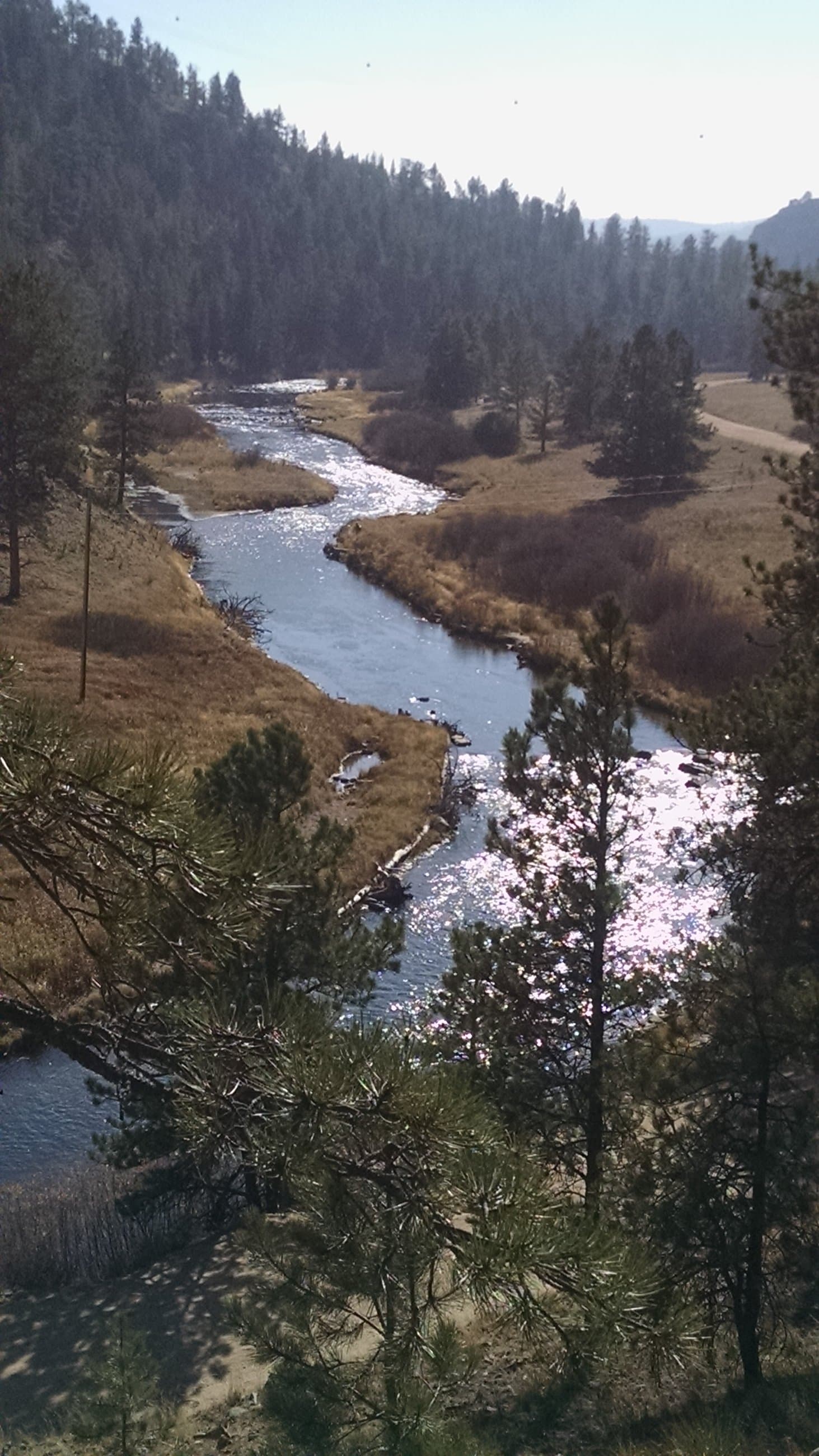 River winding through pine valley