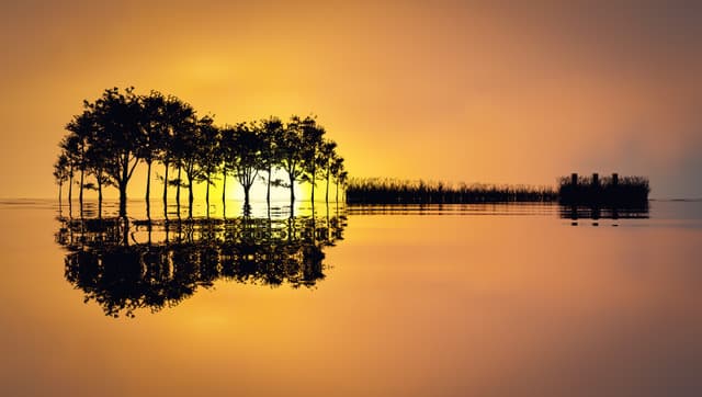 Guitar silhouette against a golden sunset background